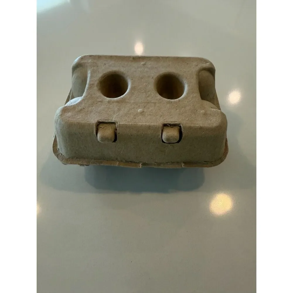 Tender Leaf Wooden Toy Eggs and Carton